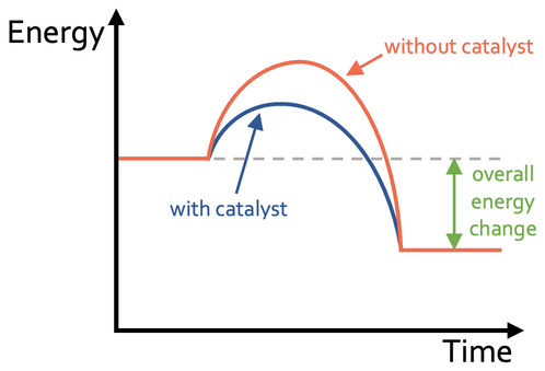 C7 E) Catalyst – Edexcel Chemistry - Elevise