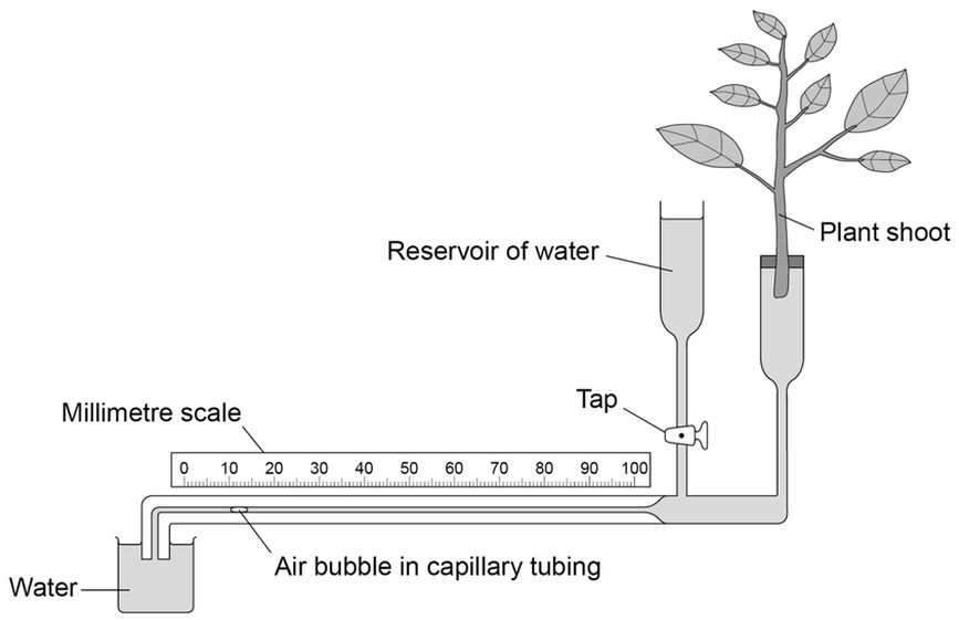 the rate of transpiration